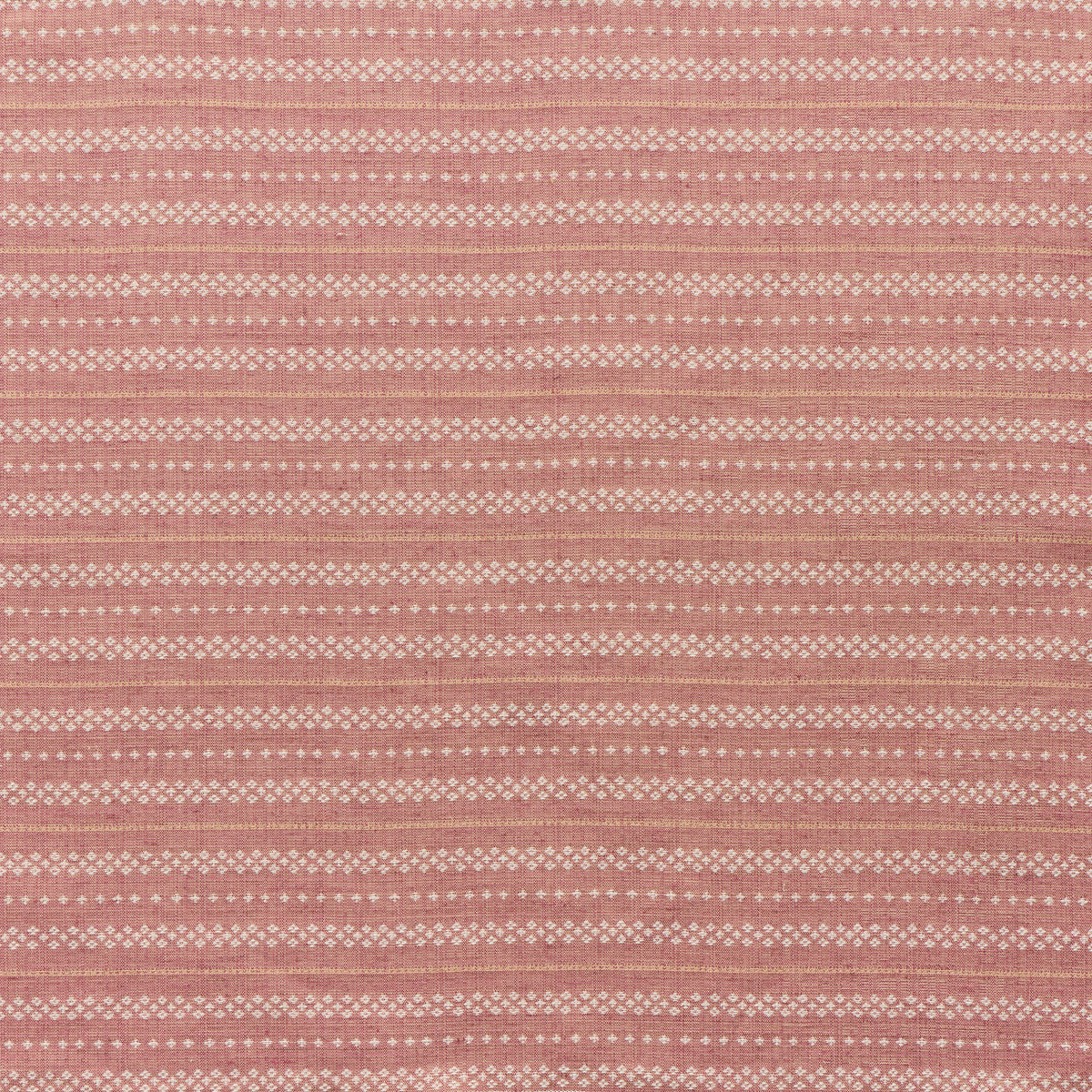 CRISS CROSS // fig