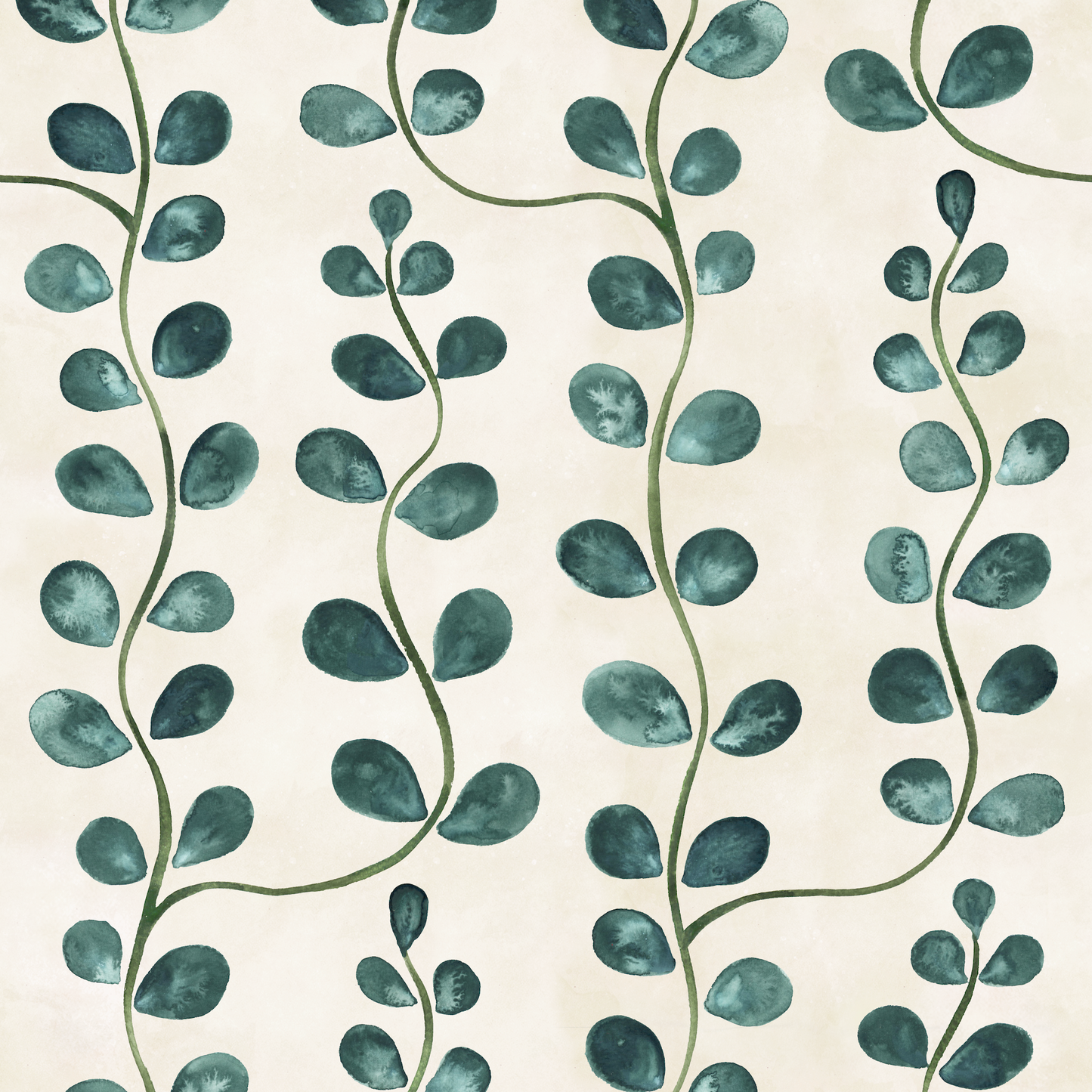 CANOPY // juniper