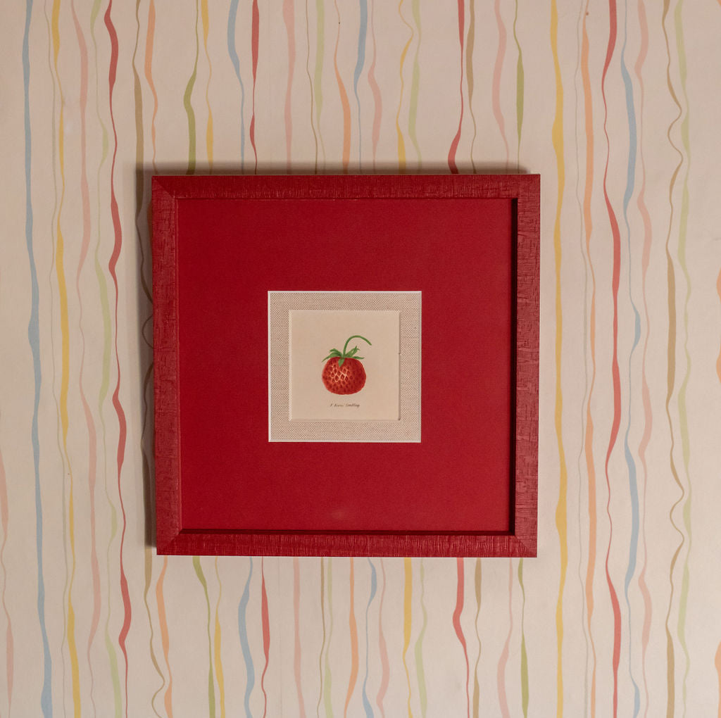 INDIAN INK WALLPAPER // candy stripe