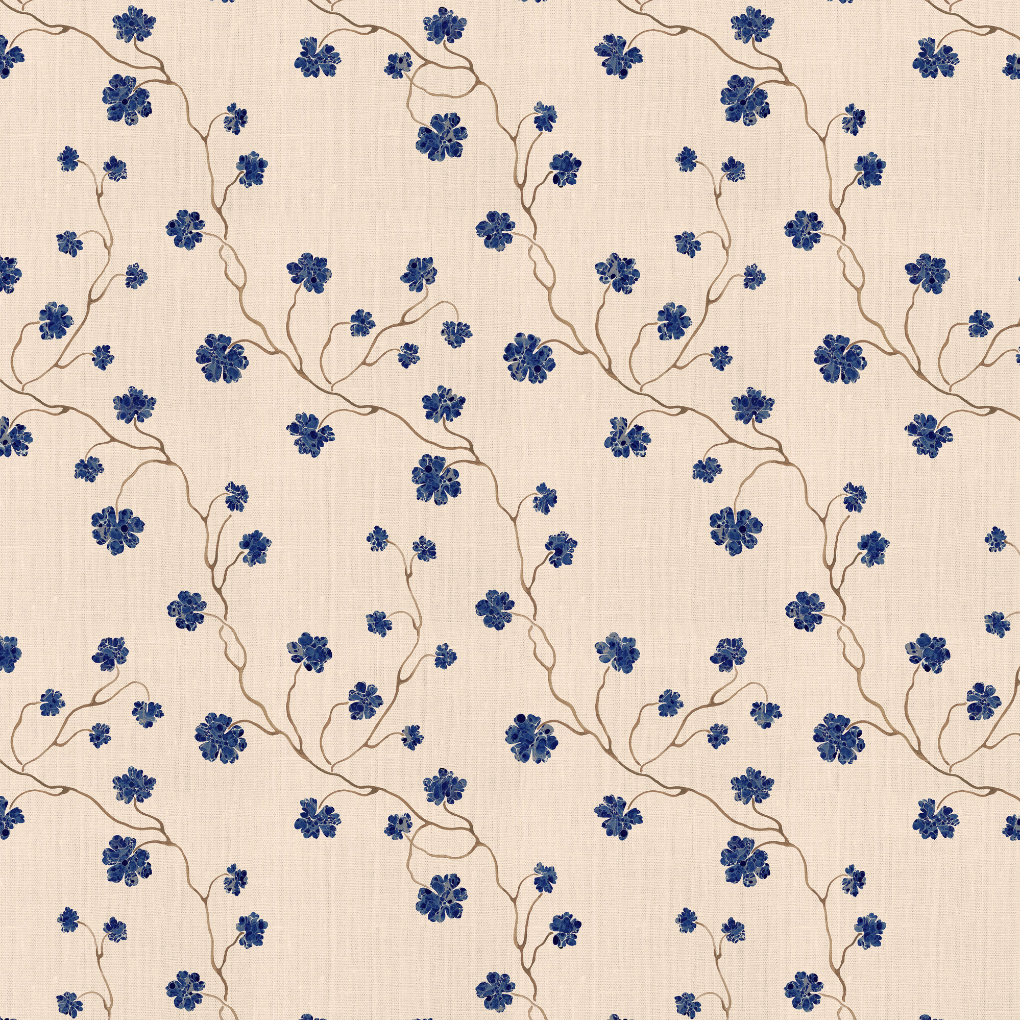 PELARGONIUM // lapis