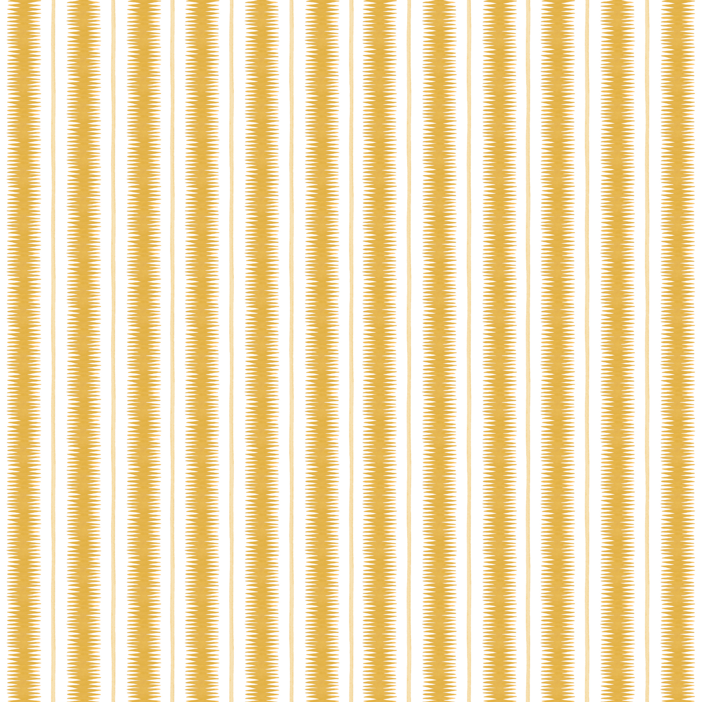 SQUIGGLE // amber