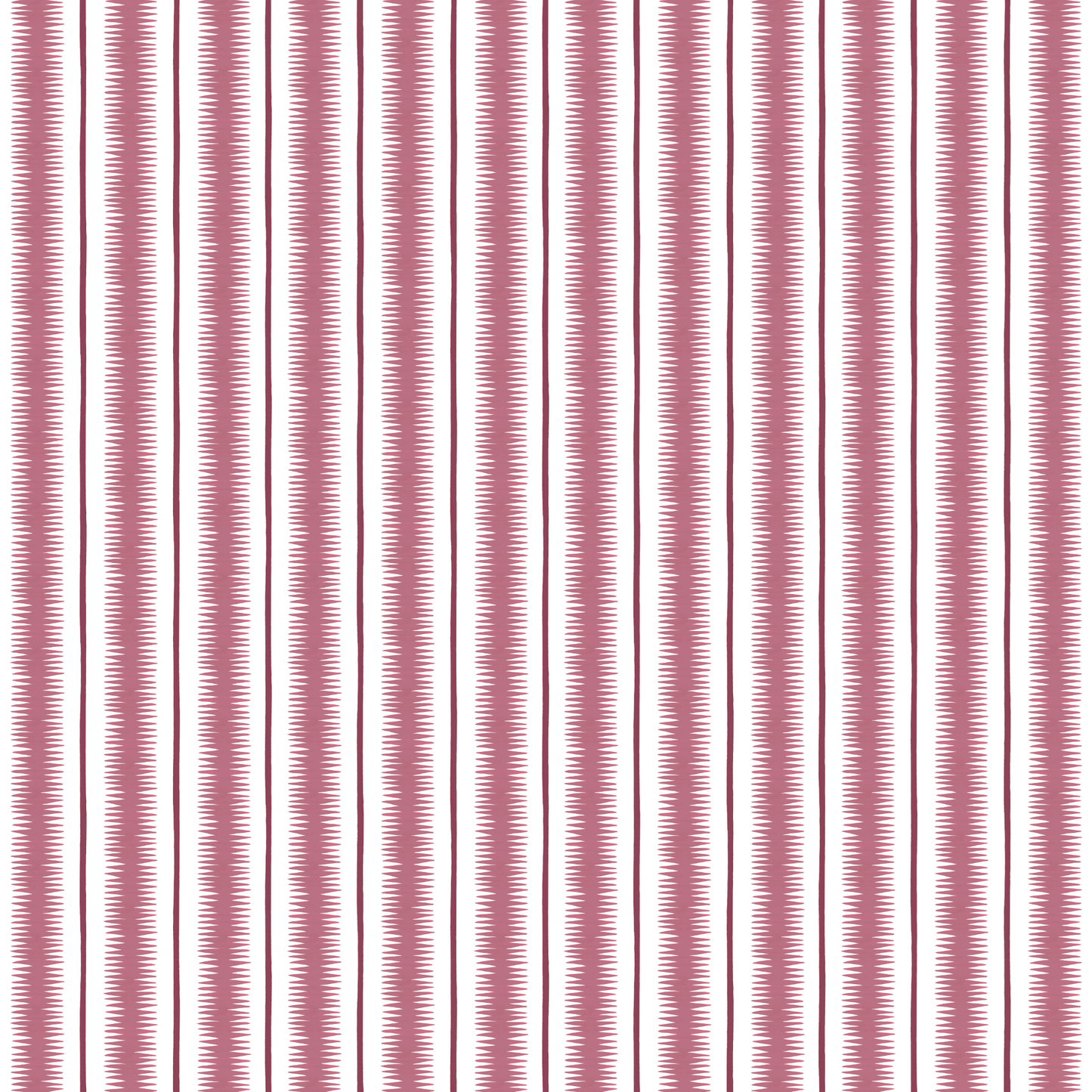 SQUIGGLE // rhubarb