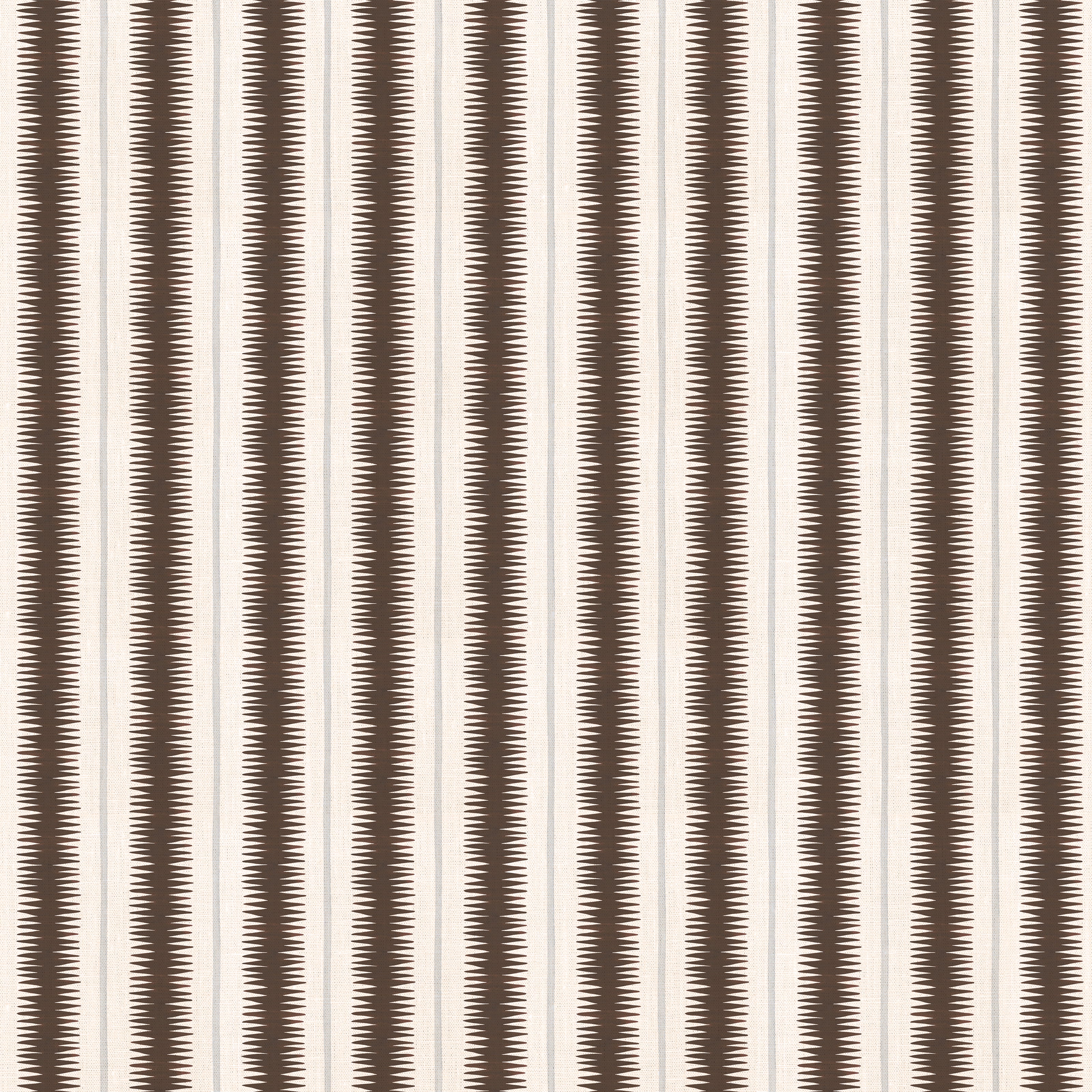 SQUIGGLE // espresso