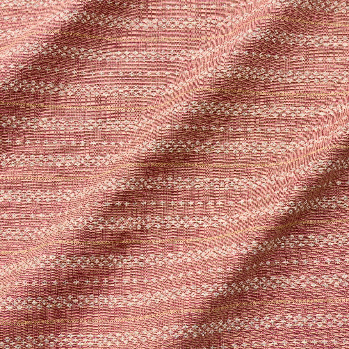 CRISS CROSS // fig