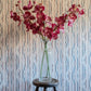 INDIAN INK  WALLCOVERING // berry