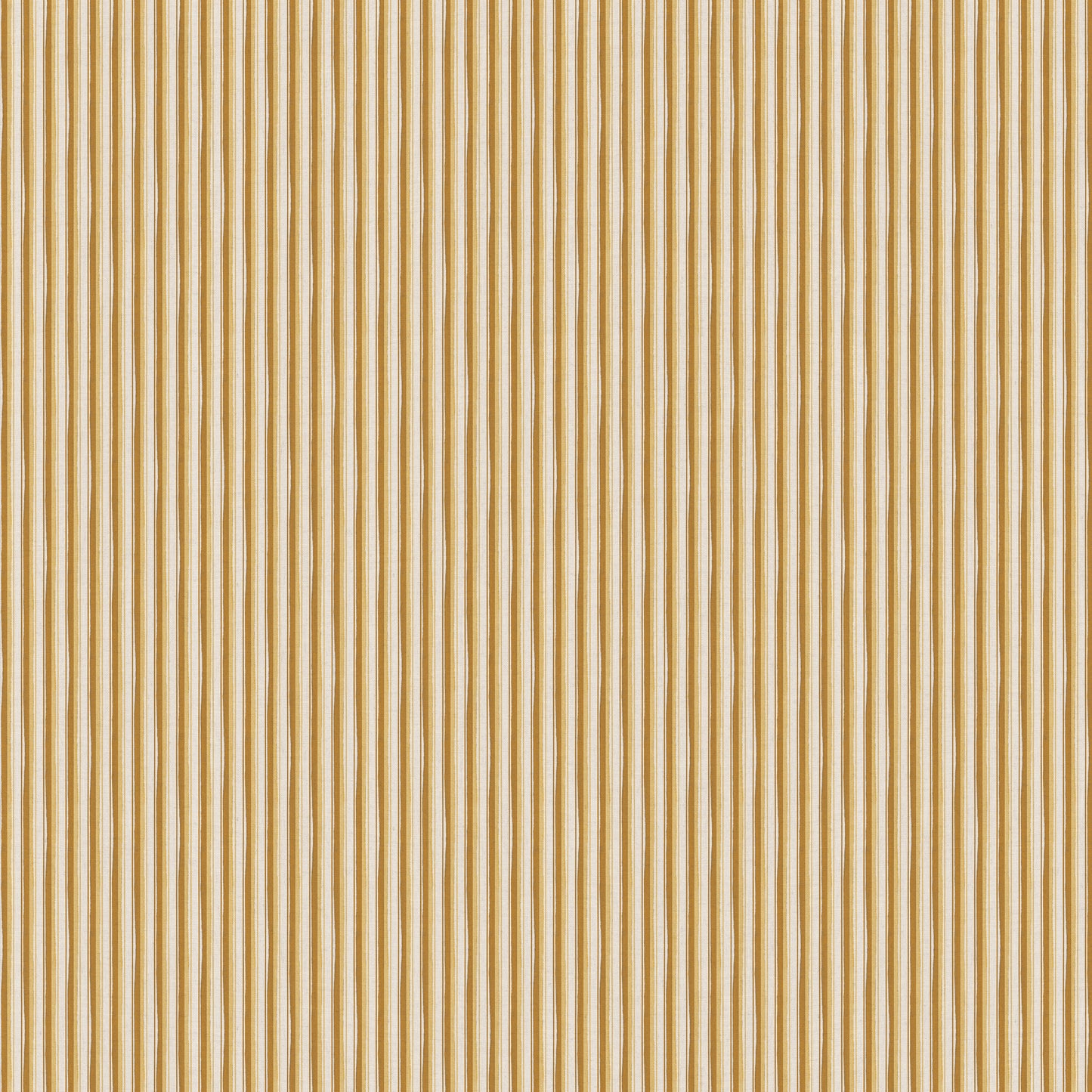 MODERN TICKING // saffron