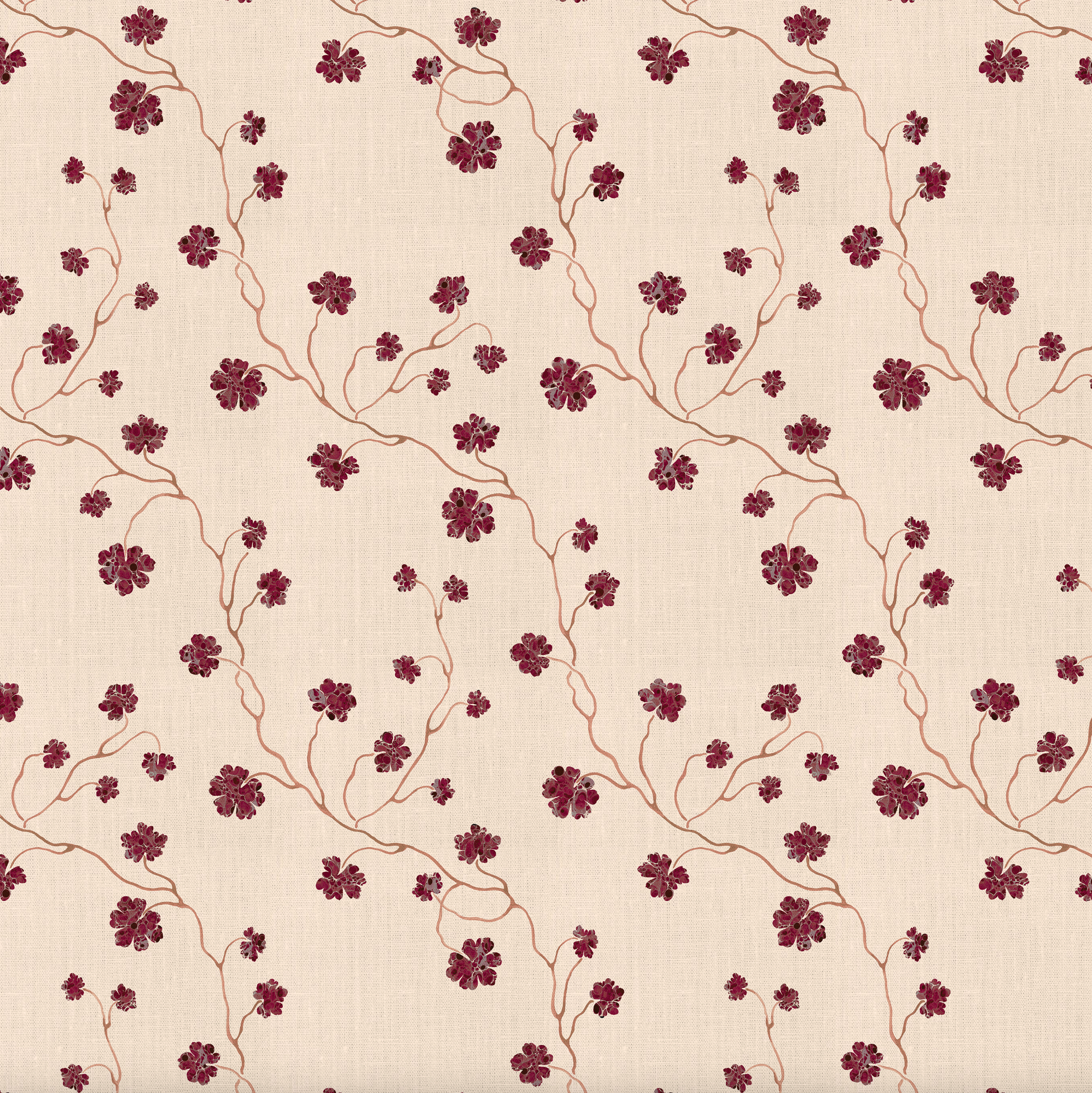 PELARGONIUM // garnet