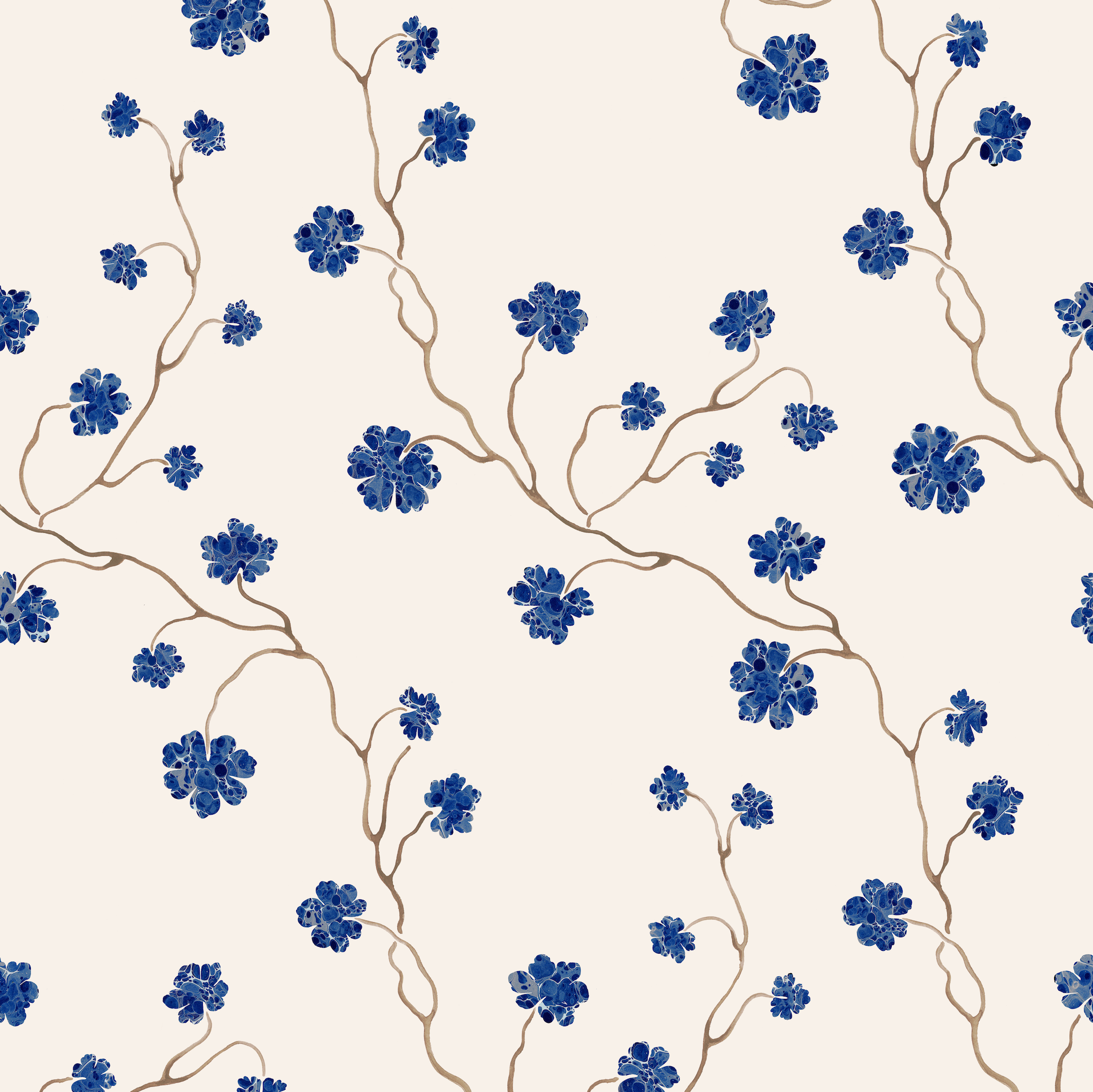 PELARGONIUM // lapis