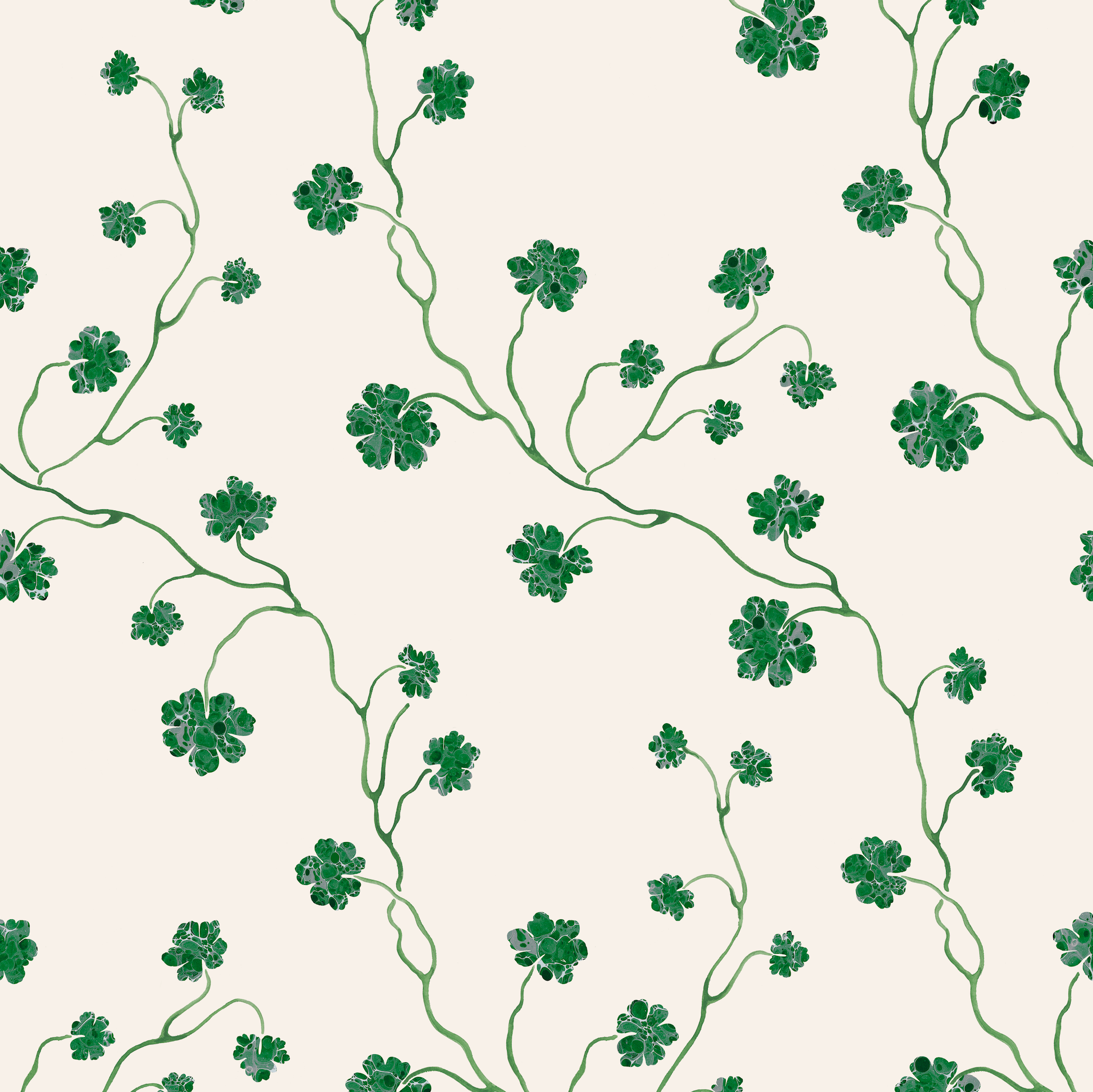 PELARGONIUM // malachite