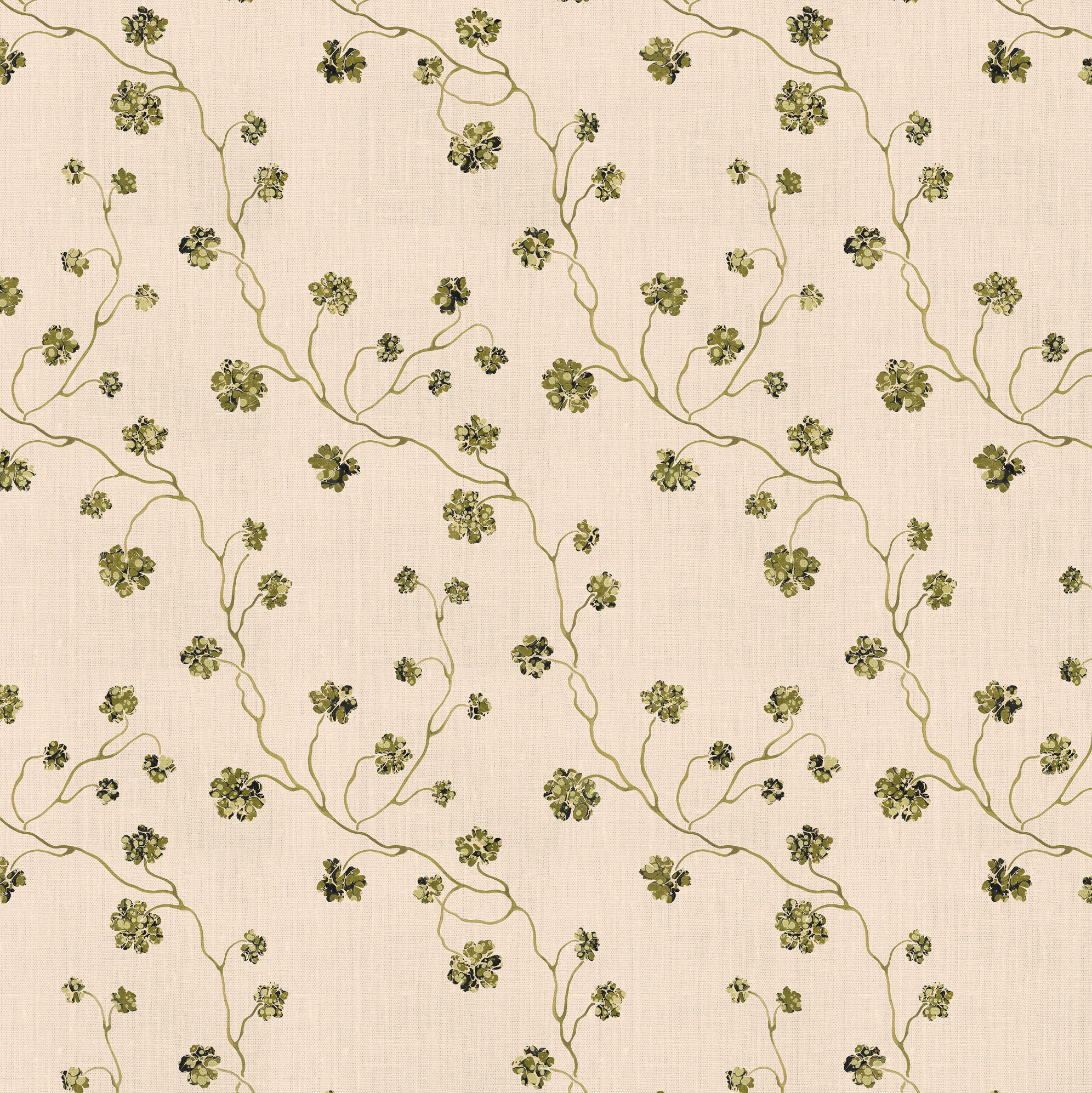 PELARGONIUM // wasabi