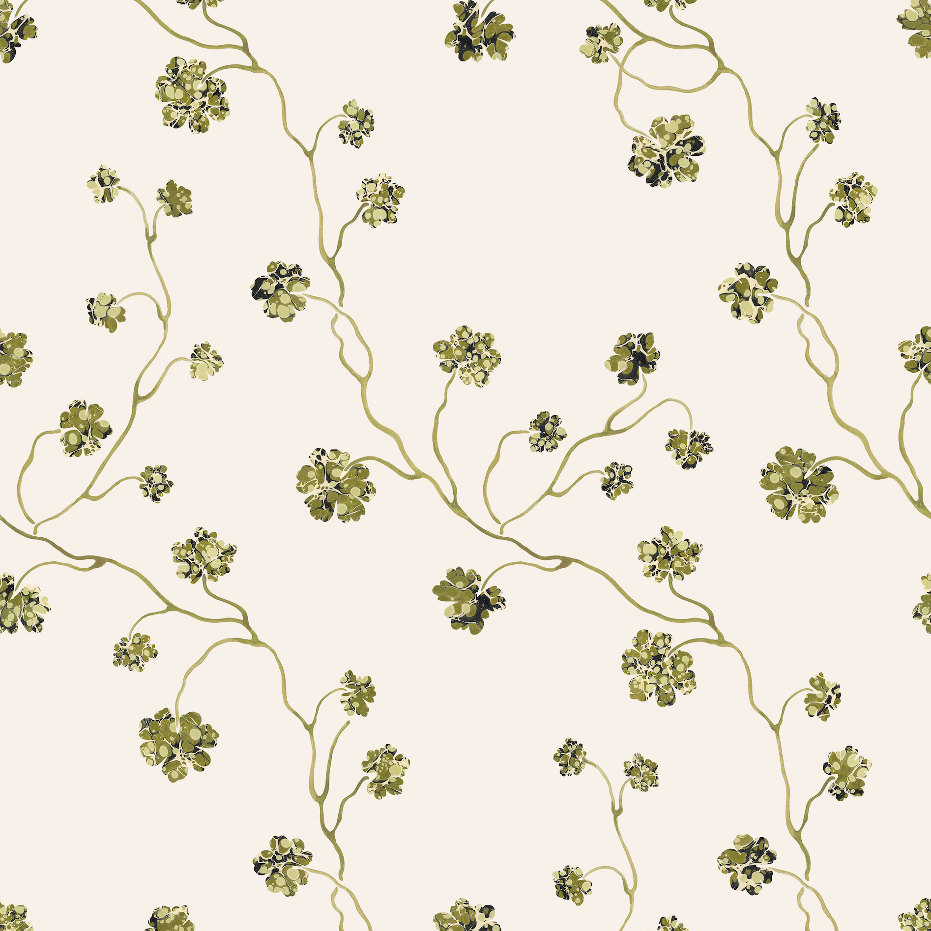 PELARGONIUM // wasabi