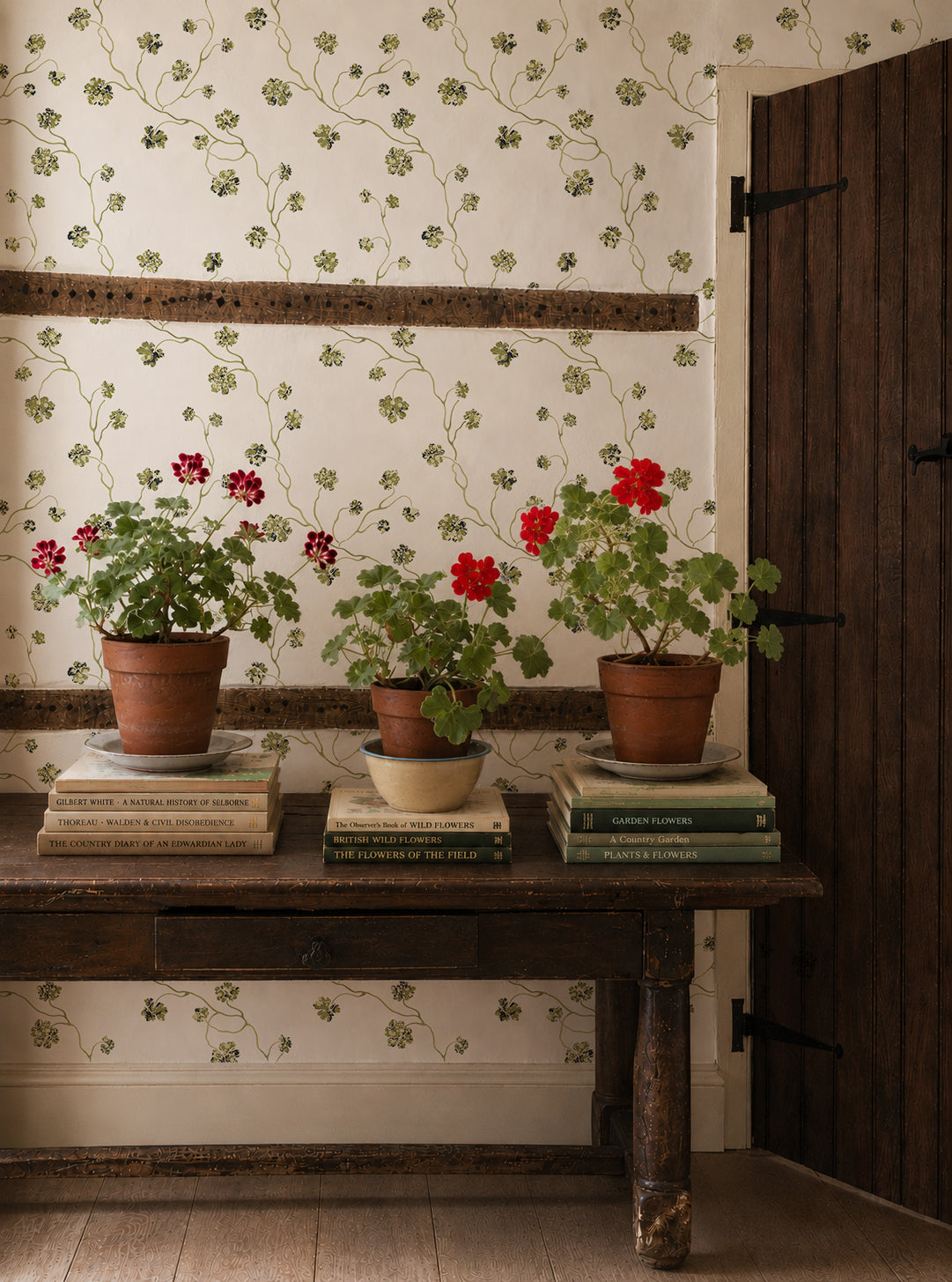 PELARGONIUM WALLPAPER // wasabi