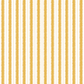 SQUIGGLE // amber
