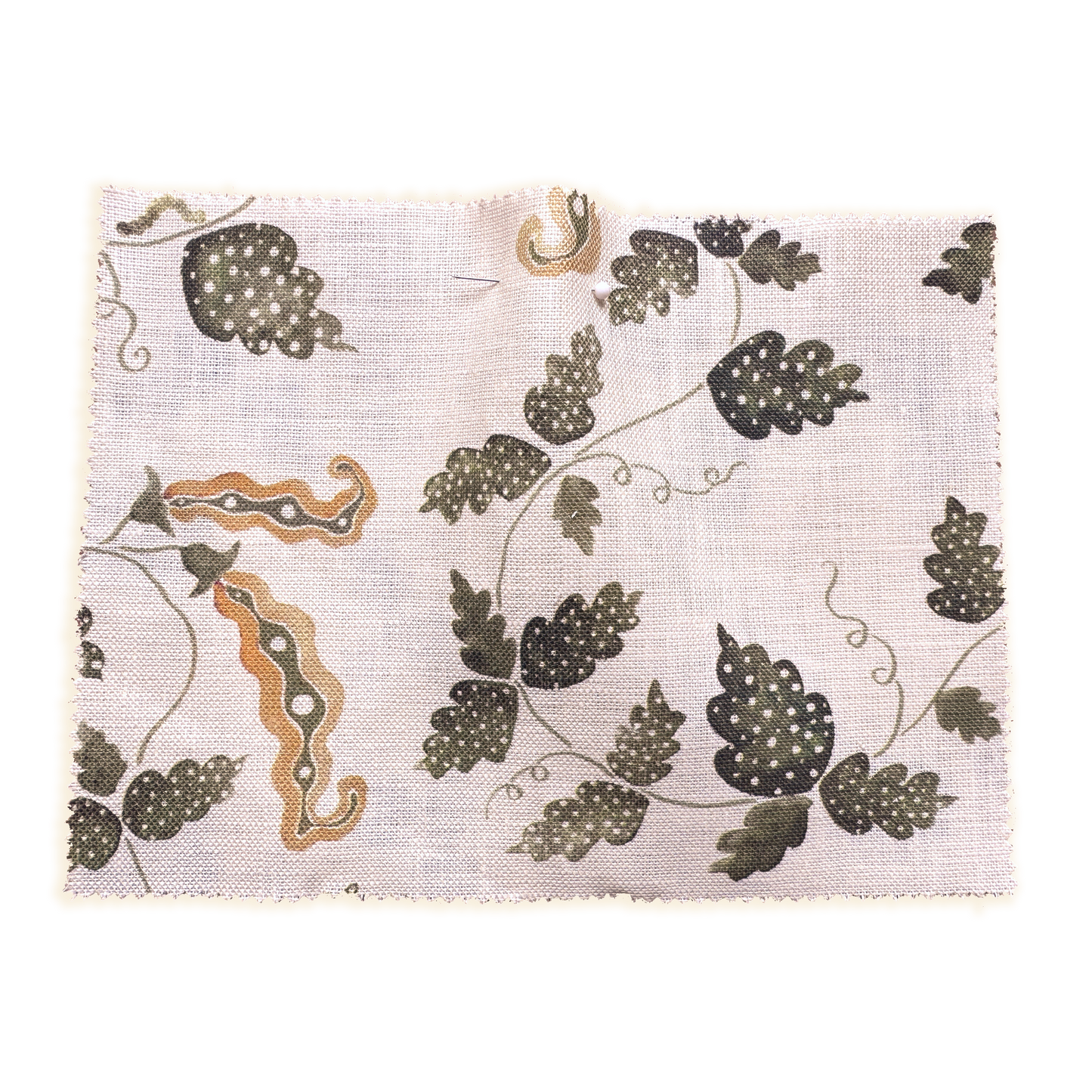 SWEETEST PEA // olive