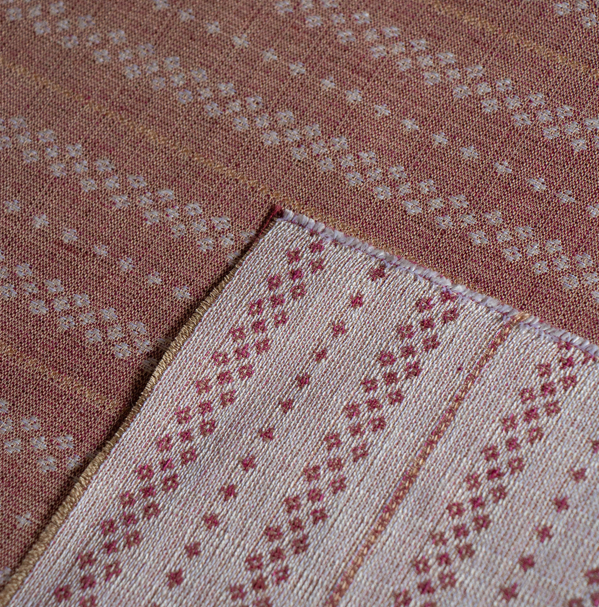 CRISS CROSS // fig